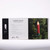 LED  Clip On Flameless Taper Candles - 6.5" - Red  - 24ct - IMAGE 4