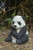 12.35" Sitting Panda Outdoor Garden Statue - IMAGE 2