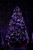 RGB LED Multi-Function Christmas String Lights with Remote - 32.5ft Black Wire - 100ct