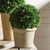 12" Green and Gray Contemporary Artificial Ball Topiary in Pot - IMAGE 2