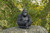 15.75" Sitting Mother Gorilla with a Baby Outdoor Garden Statue - IMAGE 2