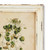 Framed Botanical Wall Art - 14" x 11" - Beige and Green - Club Pack of 12 - IMAGE 5