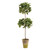 Artificial Double Ficus Topiary with Pot - 31" - Green and Brown - IMAGE 1