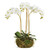 16" White and Green Artificial Phalaenopsis Mini Plant - IMAGE 1