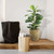 30" Green and Brown Fiddle Leaf Fig Artificial Plant in Basket - IMAGE 2