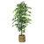 72" Green and Brown Ficus Artificial Tree in Basket - IMAGE 1