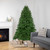 6.5' Full Sierra Noble Fir Artificial Christmas Tree - Unlit - IMAGE 2