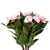 New Guinea Impatiens Artificial Bush Spray - 13.75" - Light Pink - IMAGE 4
