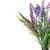 Lavender Artificial Floral Bundle Spray - 11.5" - Purple and Green - IMAGE 6