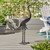 43" Black Contemporary Outdoor Garden Crane Statue - IMAGE 5