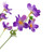 Baby Cosmos Artificial Silk Floral Spray - 27.5" - Purple - IMAGE 4