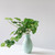 Artificial Peperomia Watermelon Leaves Spray  - 16" - Green - IMAGE 3