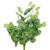 Artificial Peperomia Watermelon Leaves Spray  - 16" - Green - IMAGE 3