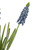 Muscari Artificial Floral Spray - 12.5" - Blue - IMAGE 4