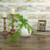 Soft Sprengeri Artificial Hanging Spray - 26" - Green - IMAGE 2