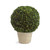 Boxwood Ball Topiary with Pot - 19" - Green and Cream - IMAGE 1