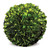 Boxwood Ball Topiary with Hanger - 17.5" - Green - IMAGE 1