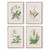 Vintage Botanical Study Prints Framed Wall Arts - 19.75" x 19.5" - Set of 4 - IMAGE 1