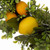 Greenery Lemon Artificial Christmas Wreath with Basket - 22-Inch, Unlit - IMAGE 5