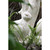 18.5" Cream White Distressed Vintage Style Small Rabbit Outdoor Figurine - IMAGE 5