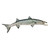 Barracuda Wall Mount Fish Trophy Sculpture - 52" - IMAGE 1