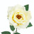 22" Long Stem Blooming Vanilla Rose Artificial Floral Silk Pick - IMAGE 6