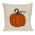20" Beige and Orange Fall Harvest Pumpkin Knitted Throw Pillow - IMAGE 1