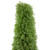 5' Artificial Boxwood Cone Topiary Tree with Round Pot, Unlit - IMAGE 5