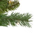 Pre-Lit Medium Chatham Pine Artificial Christmas Tree - 6.5' - Clear Lights - IMAGE 2