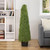 4' Artificial Boxwood Cone Topiary Tree with Round Pot, Unlit - IMAGE 3