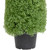 4' Artificial Boxwood Cone Topiary Tree with Round Pot, Unlit - IMAGE 6