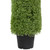 6' Artificial Boxwood Cone Topiary Tree with Round Pot, Unlit - IMAGE 6