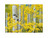 Yellow and White Aspen Trees Outdoor Canvas Rectangular Wall Art Decor 30" x 40" - IMAGE 1