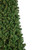 Pre-Lit Pendleton Spruce Slim Artificial Commercial Christmas Tree 15' - Clear Lights - IMAGE 3