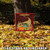 Cornucopia Fall Harvest Outdoor Garden Flag 18" x 12.5" - IMAGE 2