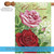 Roses 'Welcome' Outdoor House Flag 40" x 28" - IMAGE 5