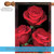 Fresh Cut Roses Outdoor House Flag 40" x 28" - IMAGE 3