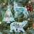 Set of 3 Snowy Christmas Tree Polar Bear and Wolf Wooden Ornaments 5.5" - IMAGE 2
