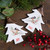 Chickadee Tree Joy and Peace Christmas Ornaments - 4.75" - 12ct - IMAGE 2