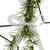 LED Lighted Star with Rosemary Sprig Christmas Decoration - 11" - Warm White - IMAGE 2