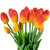 Real Touch™ Red and Yellow Artificial Tulip Floral Bundles, Set of 6 - 18" - IMAGE 4