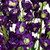 Real Touch™ Magenta Purple Delphinium Artificial Floral Stems, Set of 6 - 40" - IMAGE 6