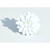 Pearl Floral Napkin Rings - 3" - White - Set of 8 - IMAGE 1