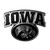 3.25” NCAA University of Iowa Molded Chrome Emblem Exterior Auto Accessory - IMAGE 1