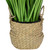 28" Artificial Onion Grass Plant in Basket - IMAGE 5