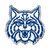 3.25” NCAA University of Arizona Wildcats Embossed Automotive Emblem - IMAGE 1