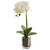 24" Orchid Phalaenopsis Artificial Floral Arrangement in Glass Vase - IMAGE 1