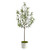 74" Olive Artificial Tree in White Planter - IMAGE 1