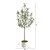 74" Olive Artificial Tree in White Planter - IMAGE 4