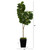 68" Fiddle Leaf Fig Artificial Tree in Black Planter - IMAGE 4
